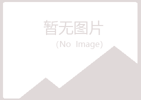 岐山县梦岚培训有限公司